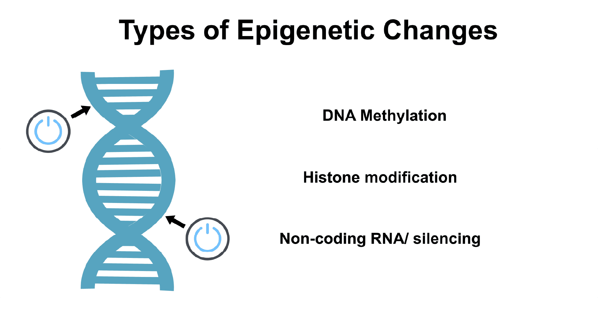 Types of epigenetic change