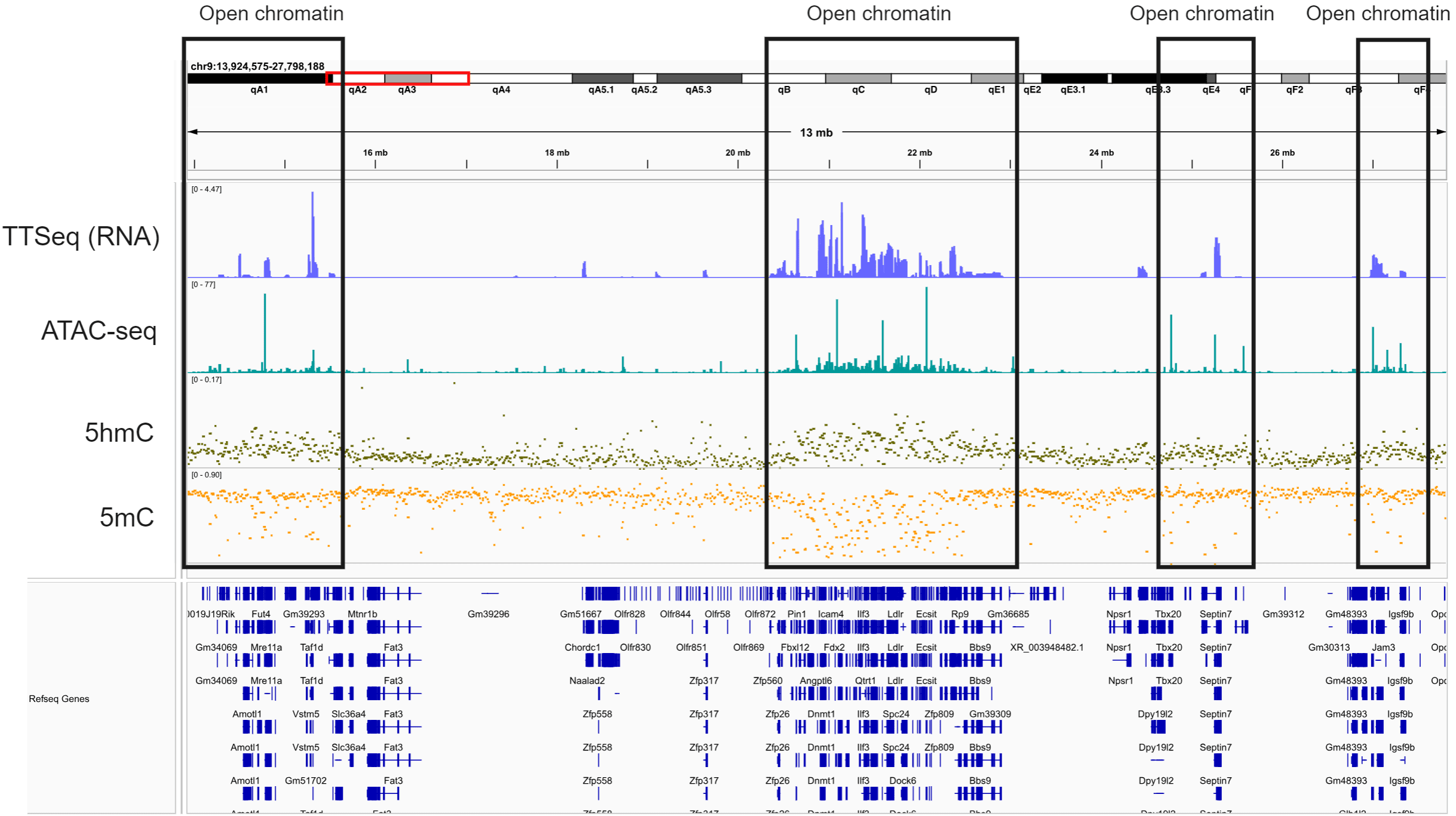 Correlation between TTSeq, ATAC-Seq and duet evoC combined 5hmC/5mC data 2