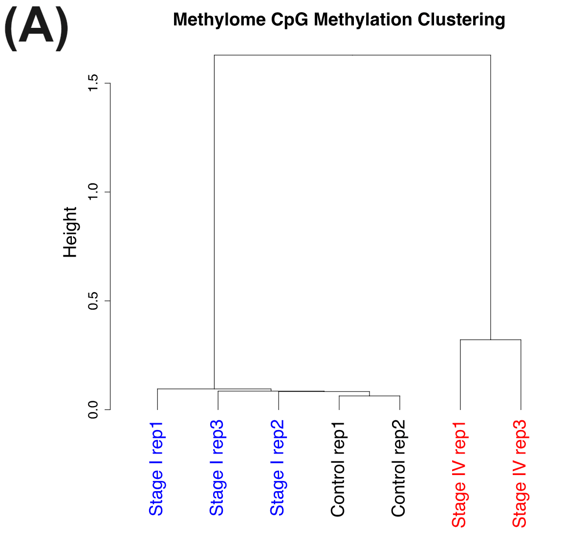 Methylome CpG methylation clustering of Healthy and CRC samples using duet evoC