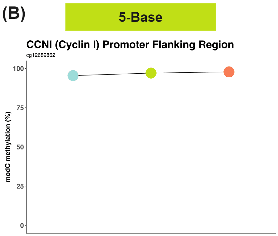 modC methylation status of Cyclin I promoter flanking region