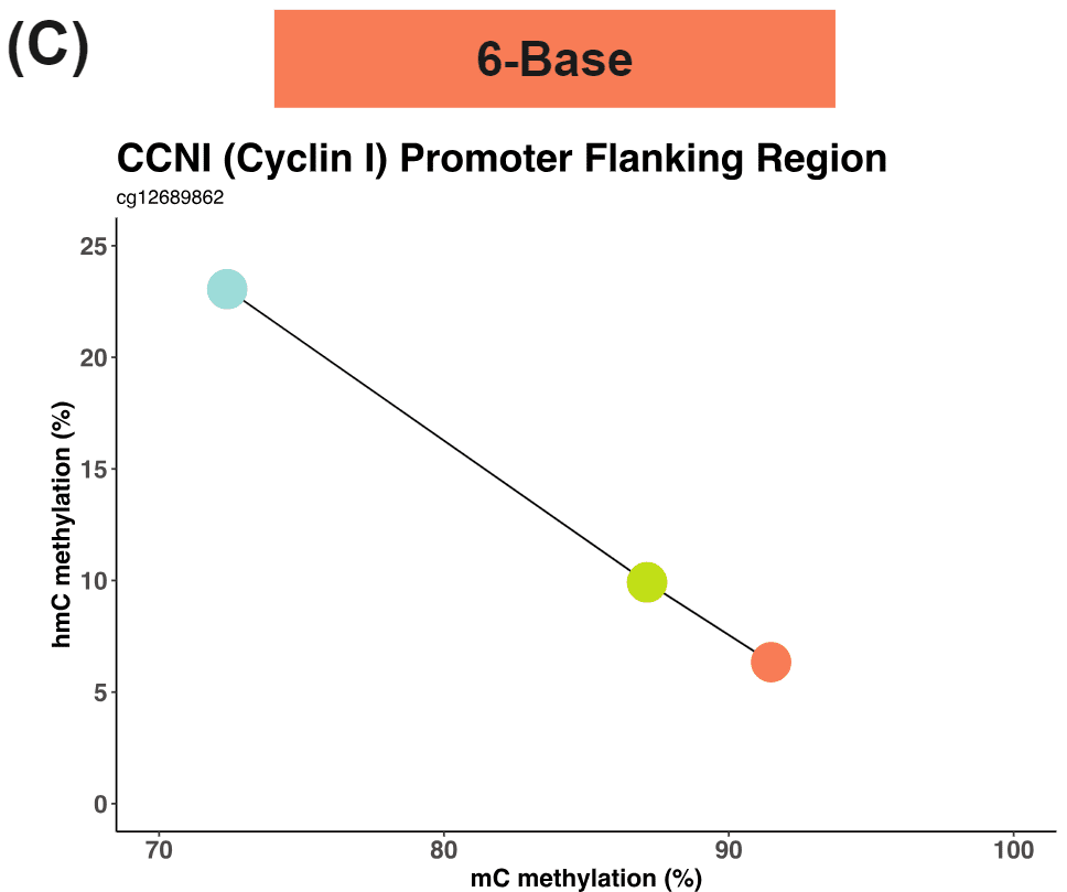 duet evoC 5mC & 5hmC methylation status of Cyclin I promoter flanking region