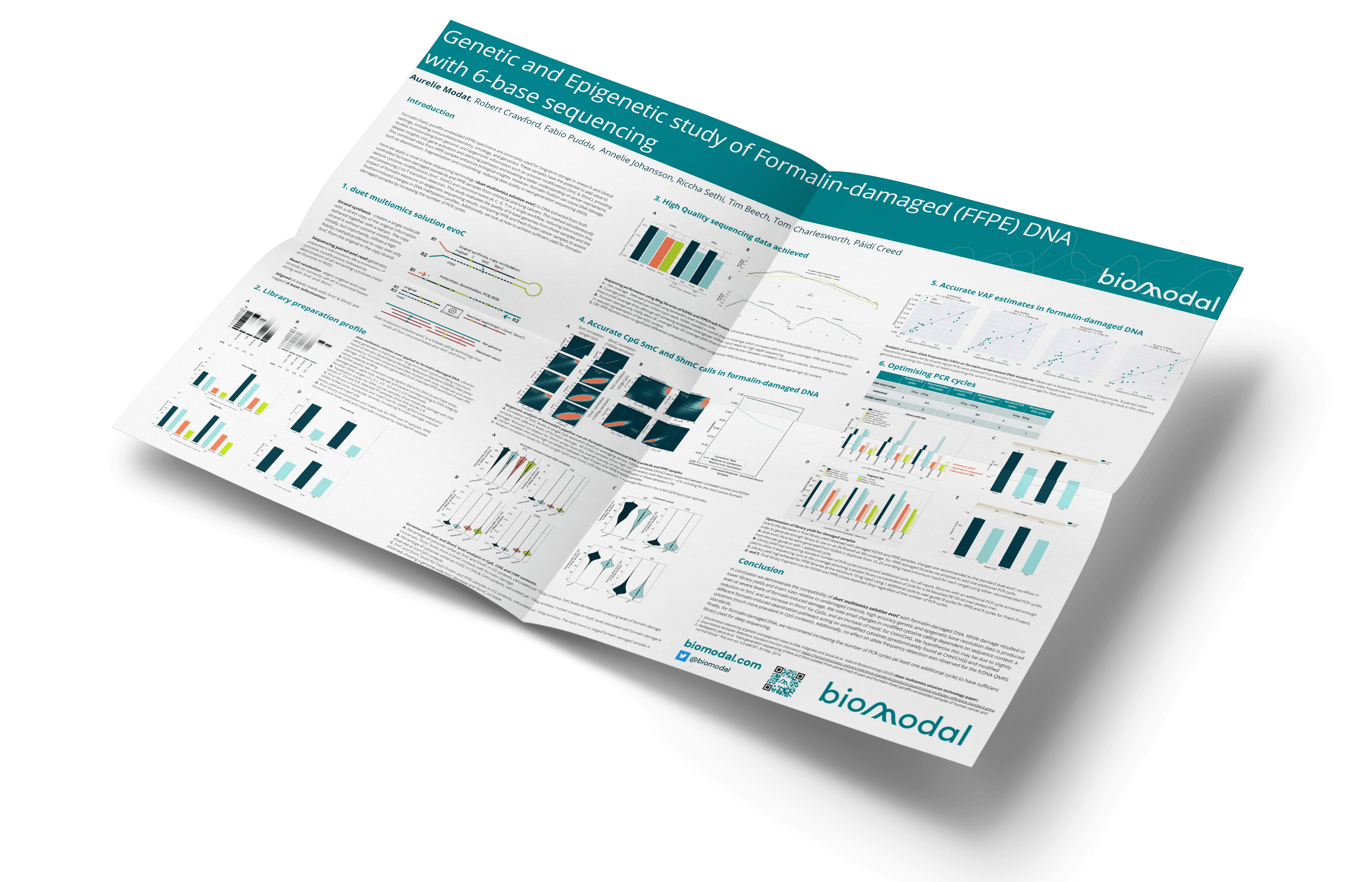 Genetic and Epigenetic study of Formalin-damaged (FFPE) DNA with 6-base sequencing